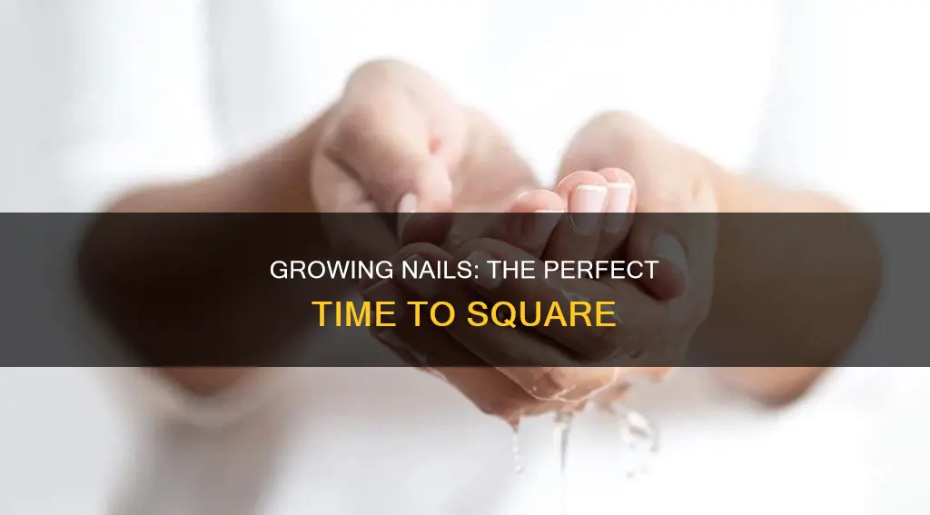 how long to grow nails before squaring