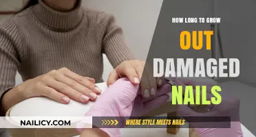 Repairing Damaged Nails: A Timeline for Healthy Growth