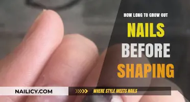 Grow and Shape: The Perfect Nail Timeline