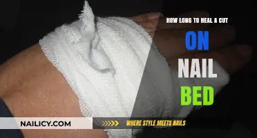 Healing a Cut Nail Bed: Quick and Easy Guide