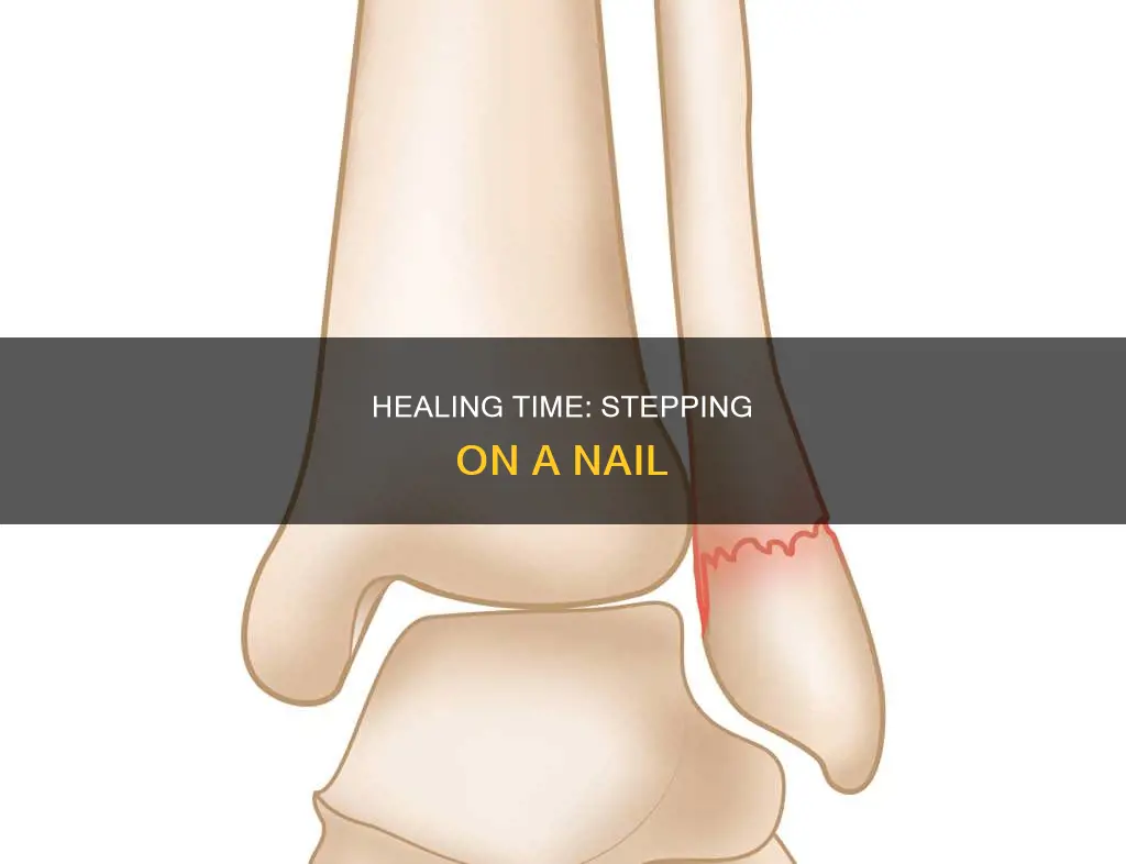 how long to heal from stepping on nail