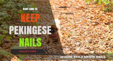 Trimming Nails for Your Pekingese: How Long is Too Long?