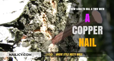 Killing Trees with Copper Nails: Effective or Just a Myth?
