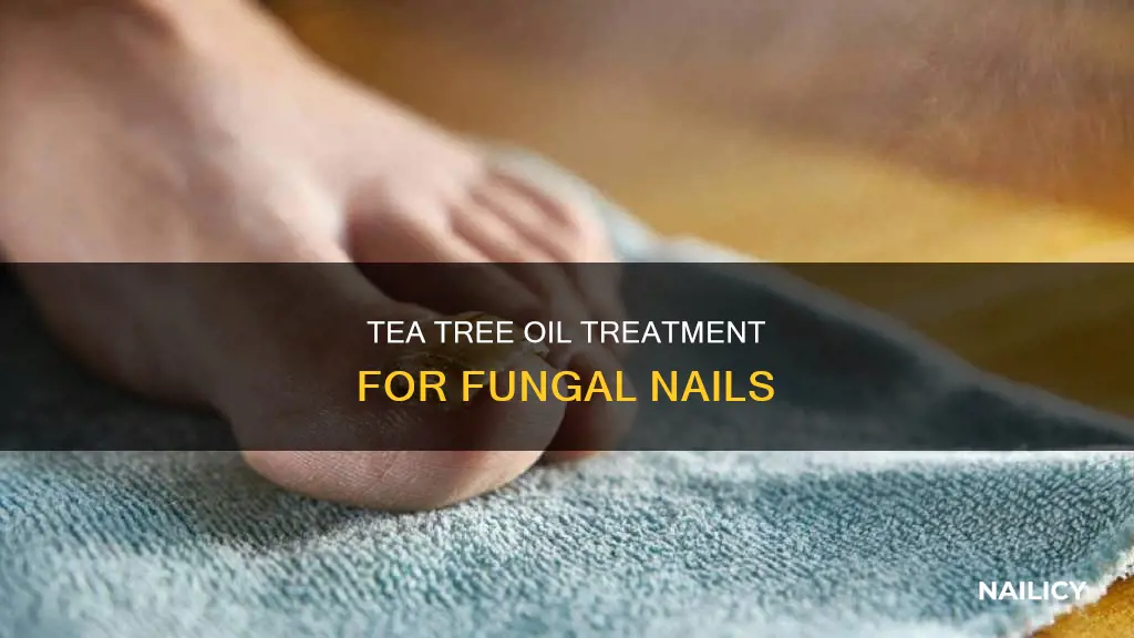how long to leave tea tree oil on fungus nail