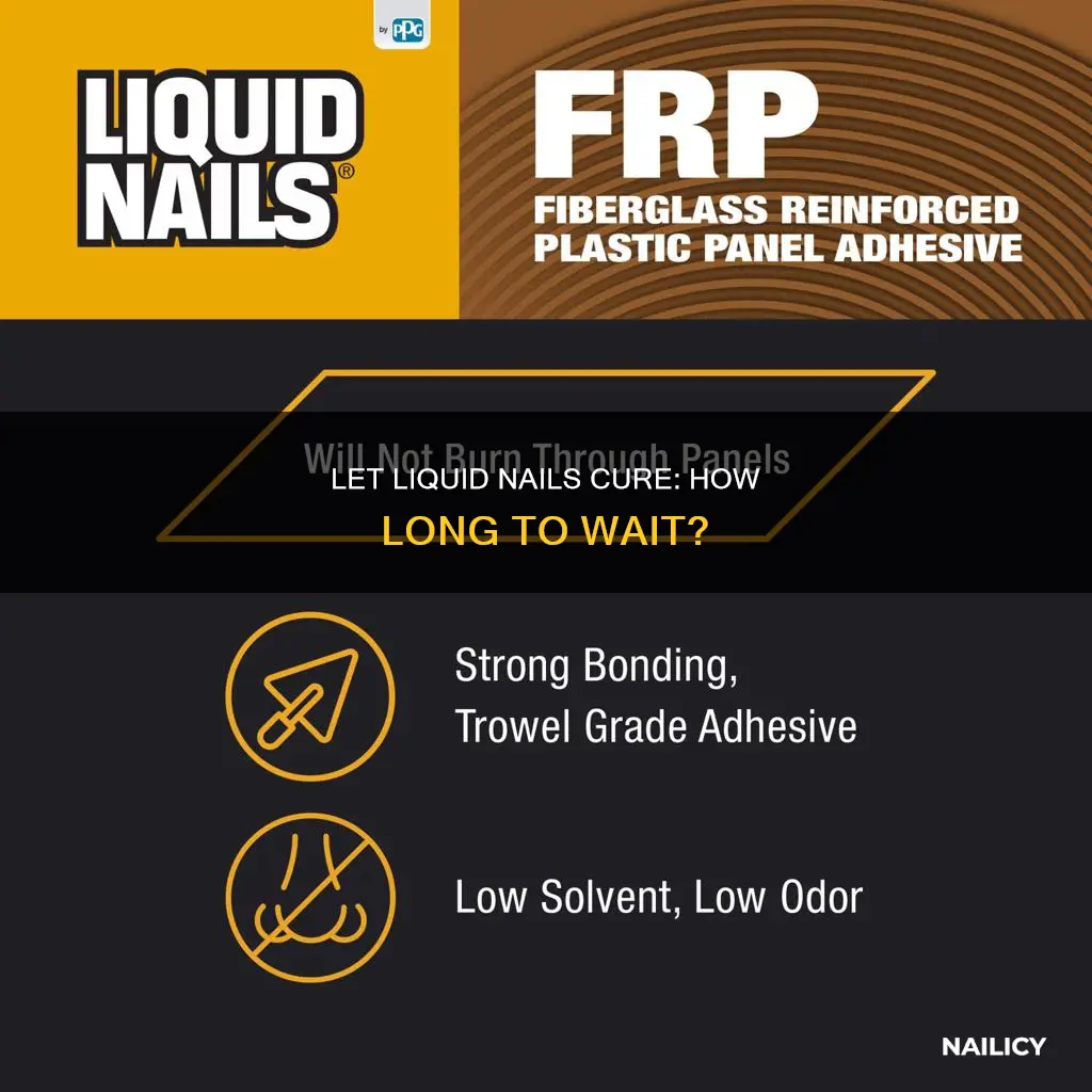 how long to let liquid nails cure