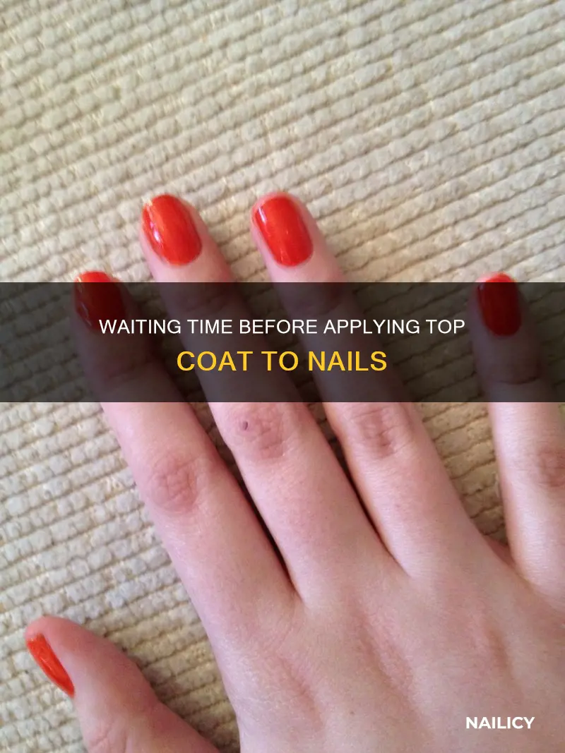 how long to let nails dry before top coat