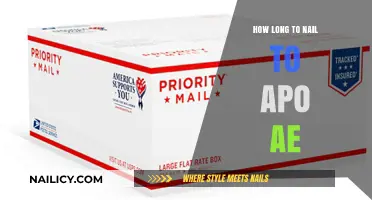 Nailing Mail Delivery Times to APO AE