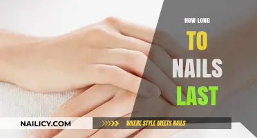 The Lifespan of Nails: How Long Do They Last?