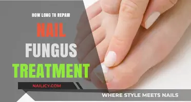 Effective Nail Fungus Treatment: How Long Does It Take?