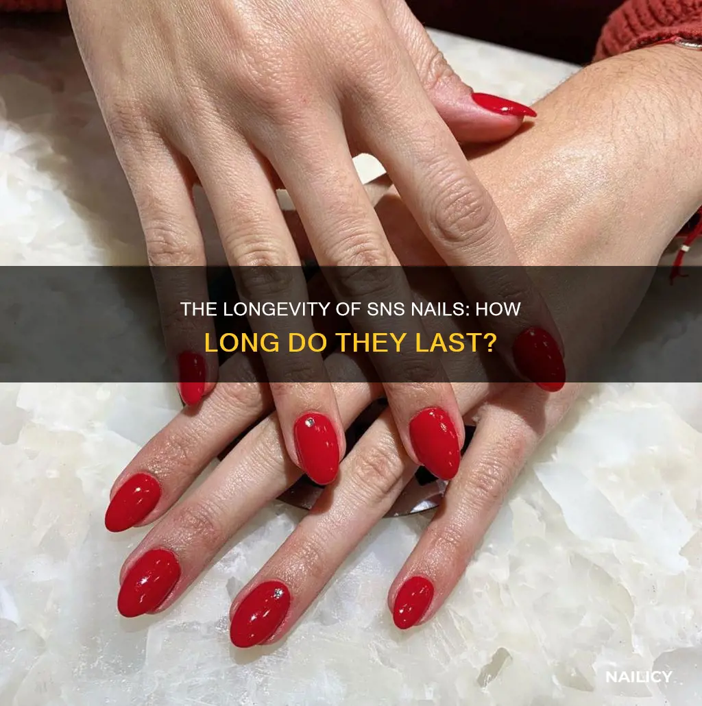 how long to sns nails last