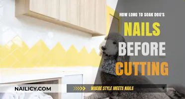 Soaking Dog Nails: How Long Before Trimming?