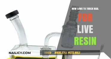 Torch Nail Temperature Control for Live Resin