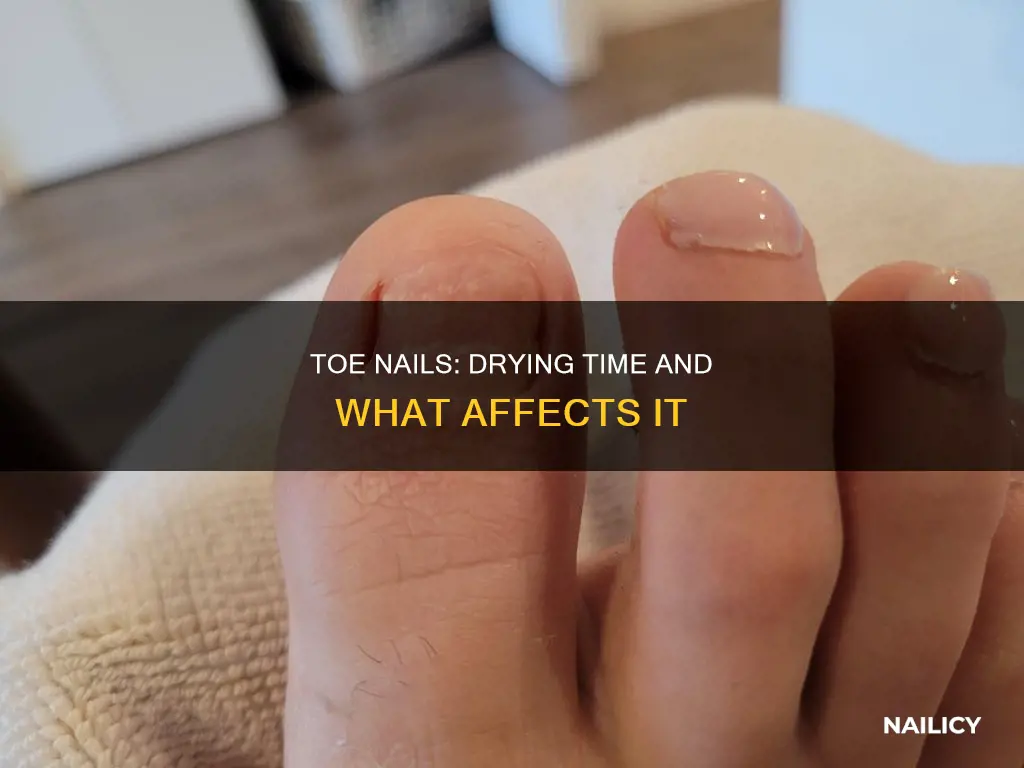 how long to wait for toe nails to dry