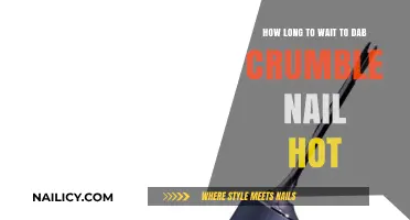 The Perfect Dab: Timing Your Crumble Nail