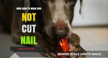 Walking Your Dog: Keeping Nails Trimmed