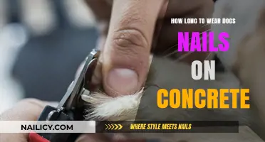 Trimming Dog Nails: Concrete Walking and Nail Care