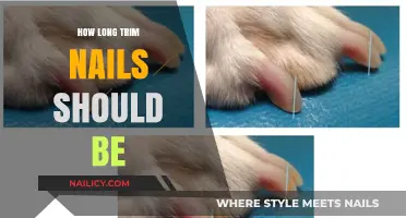 Trim Nails: Ideal Length for Healthy Tips