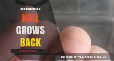 The Nail Regrowth Journey: Time to Get Your Nails Back