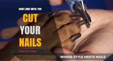 The Ideal Time Interval for Trimming Your Nails