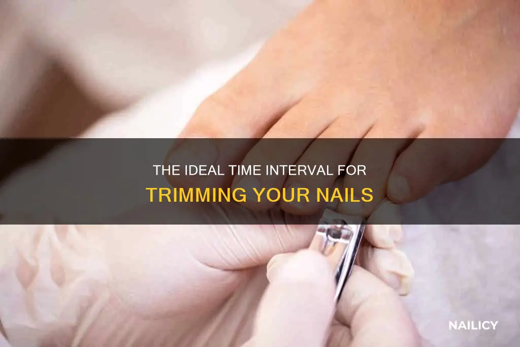 how long until you cut your nails
