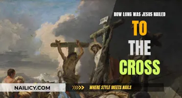 Jesus' Crucifixion: The Length of His Sacrifice