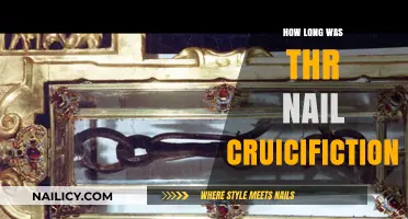The Agonizing Hours of Jesus' Crucifixion
