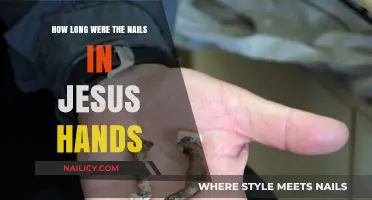 The Length of Nails Used to Crucify Jesus