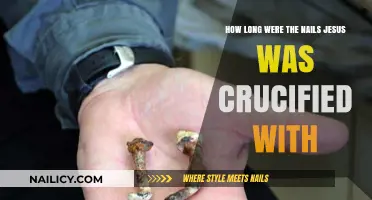 The Length of Nails Used in Jesus' Crucifixion