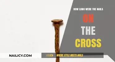 The Nails of Crucifixion: Length and Its Significance