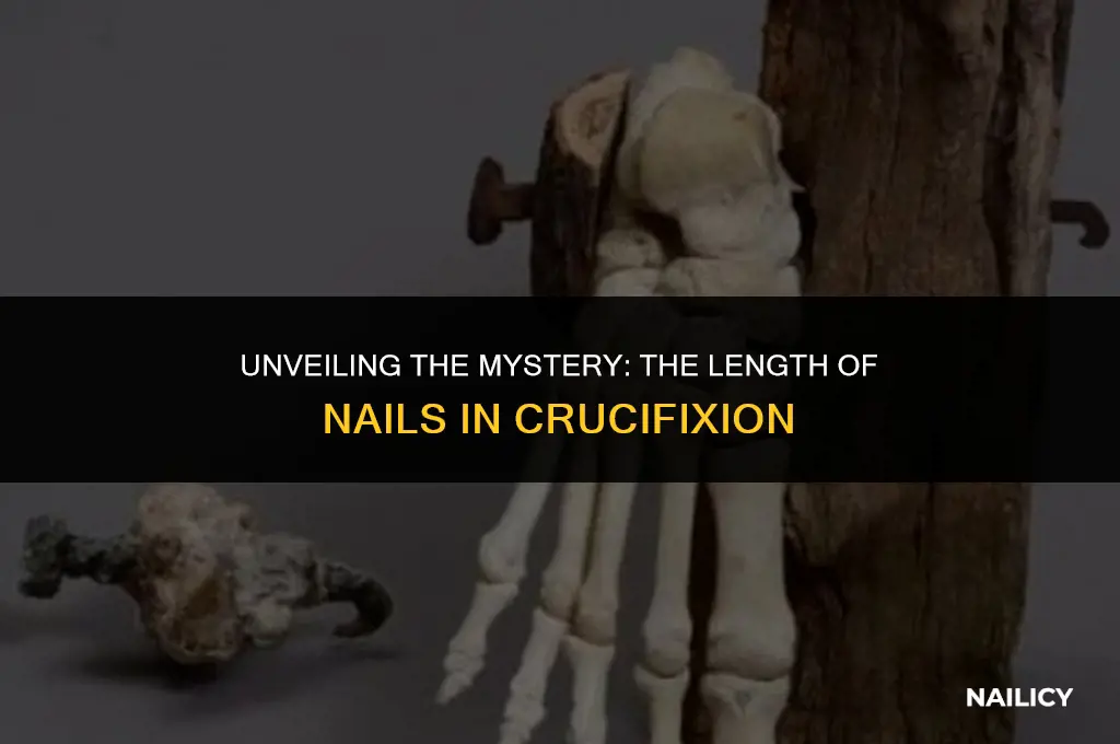 how long were the nails used in crucifixion