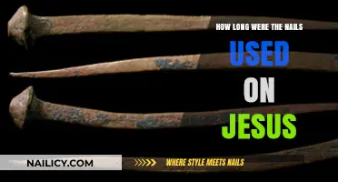 The Historical Debate: Length of Nails Used in Jesus' Crucifixion