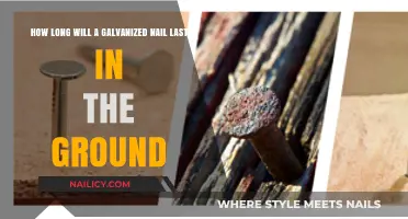 Galvanized Nails: How Long Do They Last Underground?
