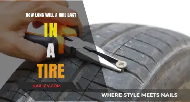 The Nail in Your Tire: How Long Will It Last?