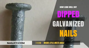Galvanized Nails: How Long Do They Last?