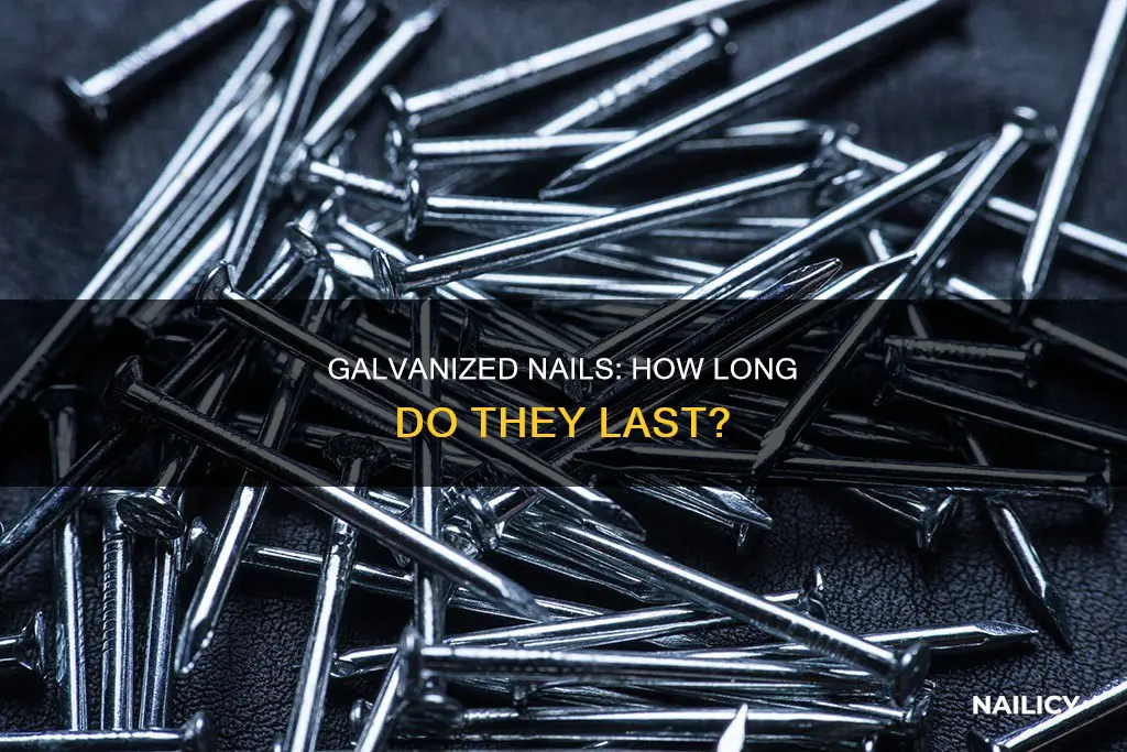 how long will hot dipped galvanized nails