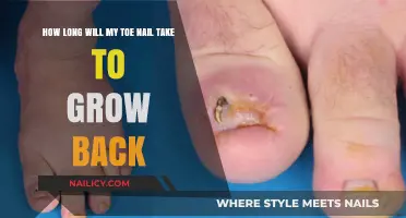 Toe Nail Growth: How Long for a New Nail?