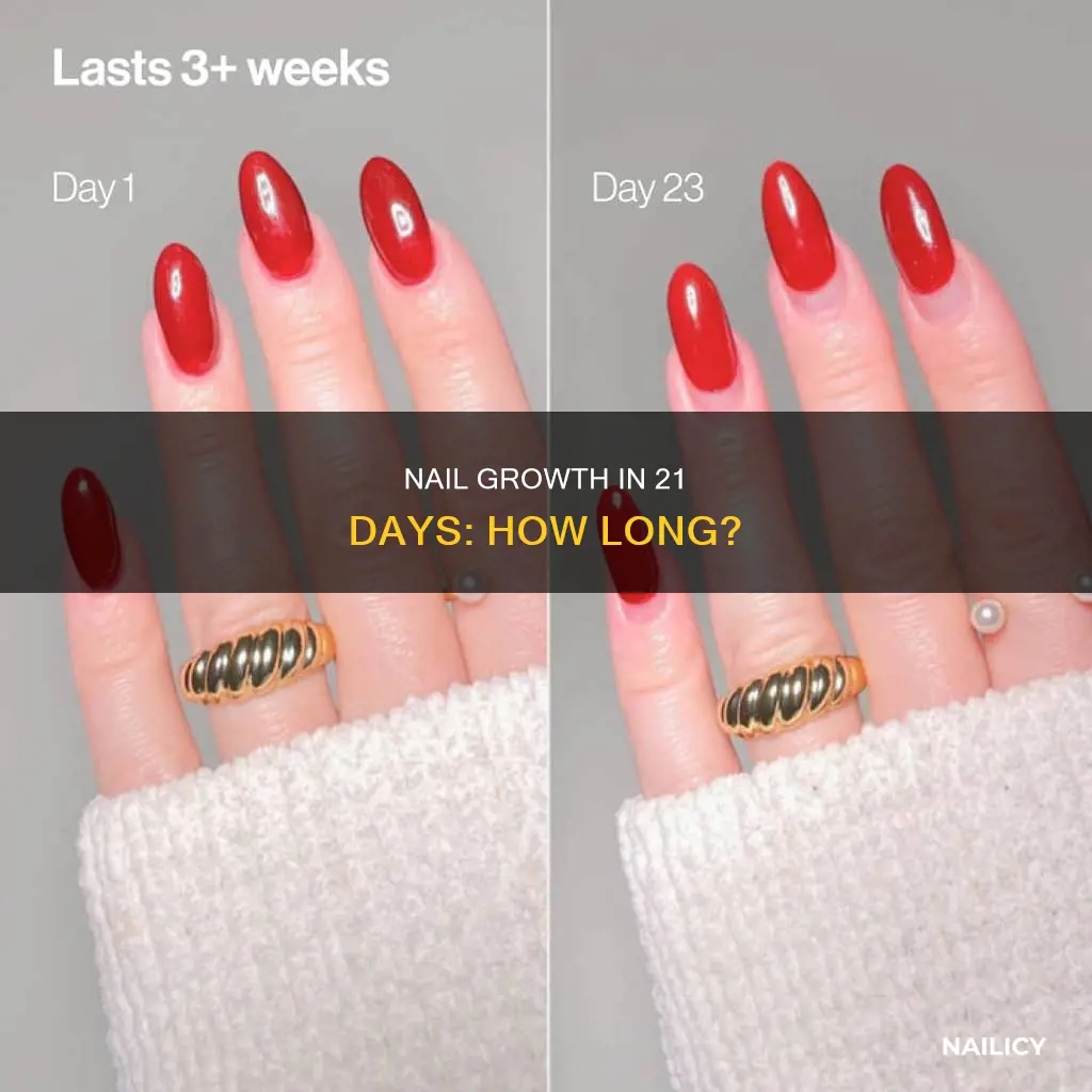 how long will nails grow in 3 weeks