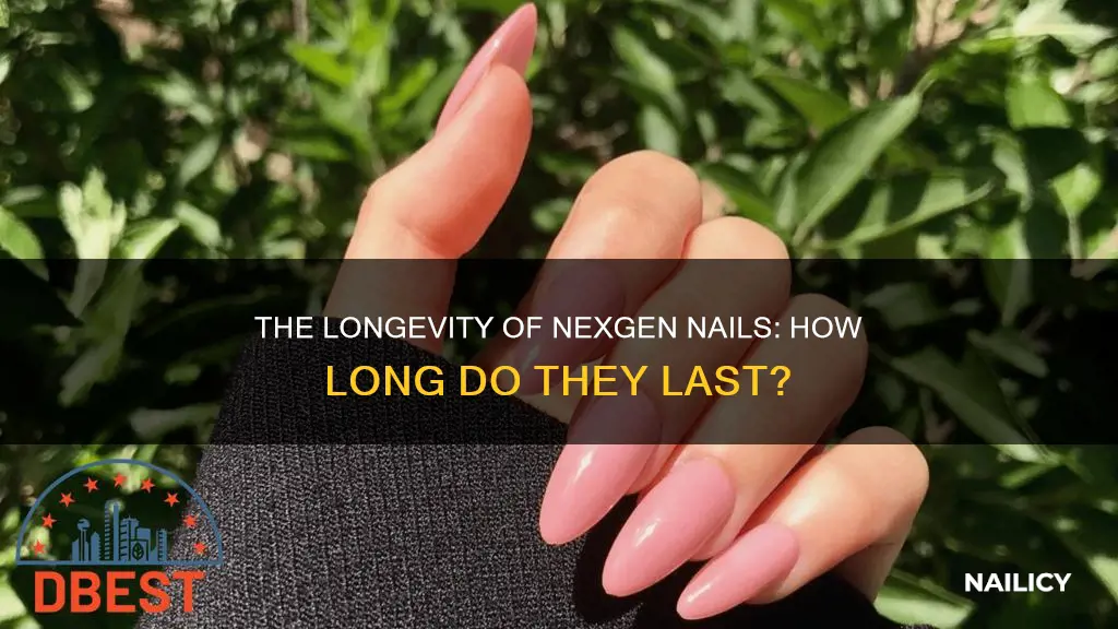 how long will nexgen nails last
