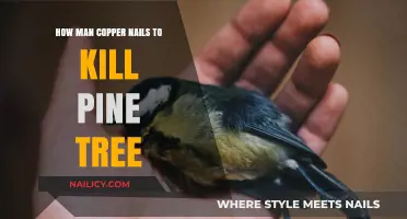 Copper Nails to Kill Pine Trees: Effective Method or Myth?