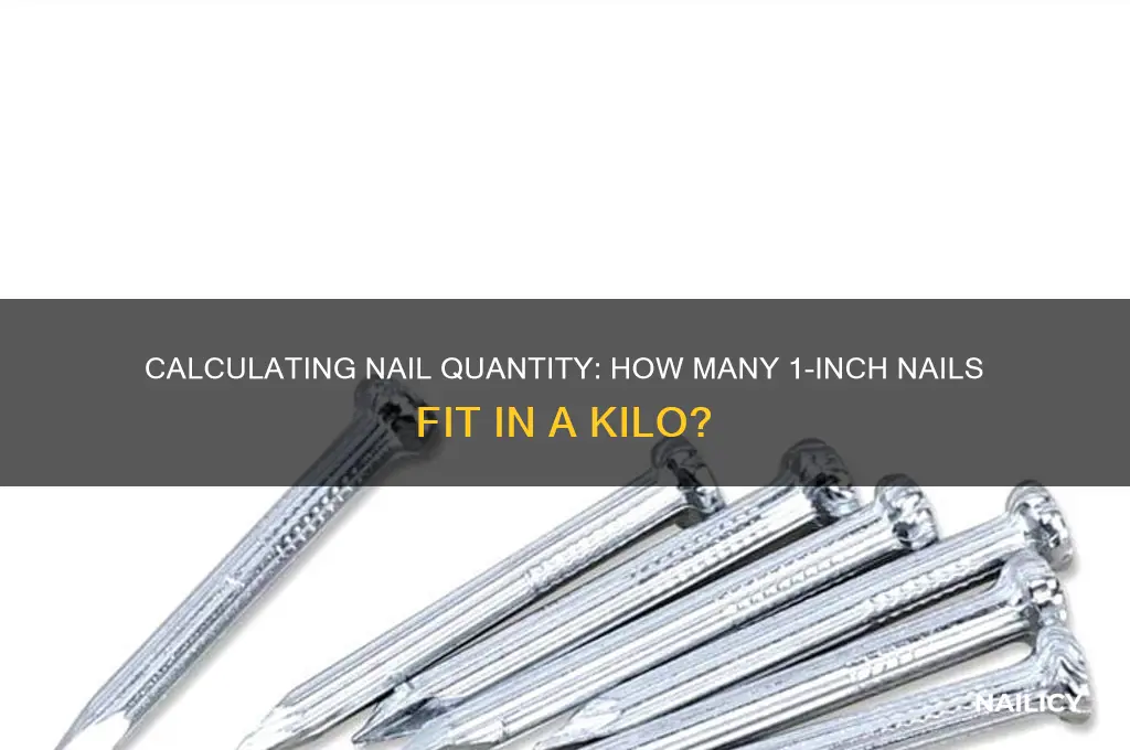 how many 1 inch nails in a kilo