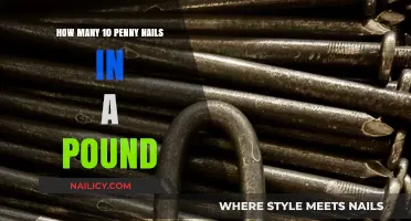 How Many 10 Penny Nails Fit in a Pound?
