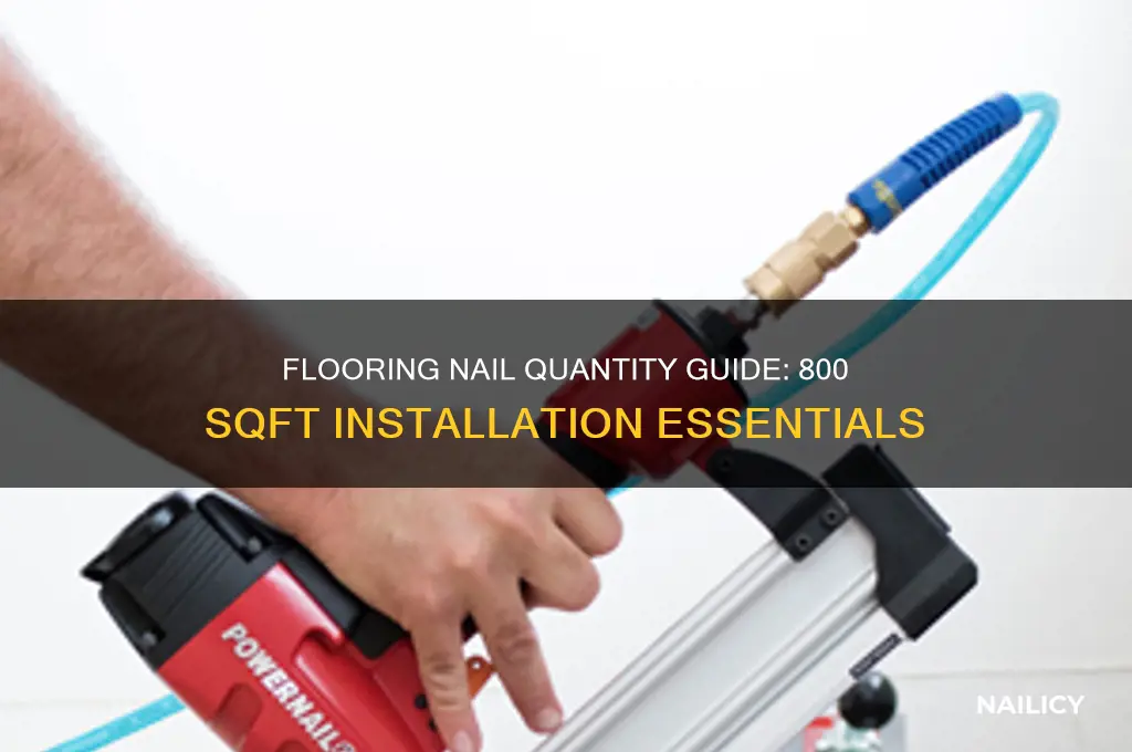 how many 2 flooring nails for 800 sqft