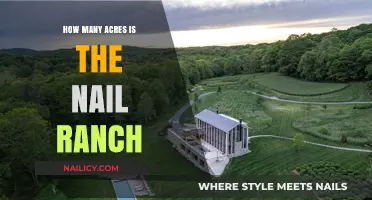 Exploring the Vast Size of the Nail Ranch: How Many Acres?