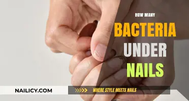 Hidden Dangers: Uncovering the Bacteria Lurking Beneath Your Fingernails