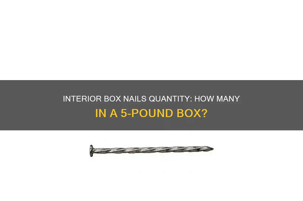 how many box nails interior in 5lb