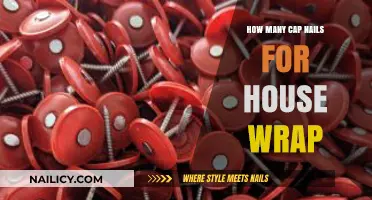 Essential Cap Nail Quantity Guide for House Wrap Installation