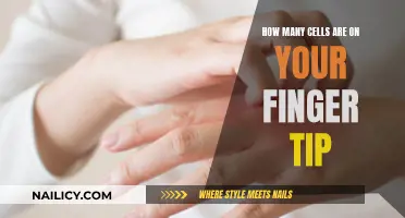 Unlocking the Mystery of Cells on Your Fingertip