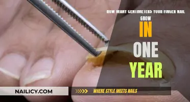 Fingernail Growth: How Long in a Year?