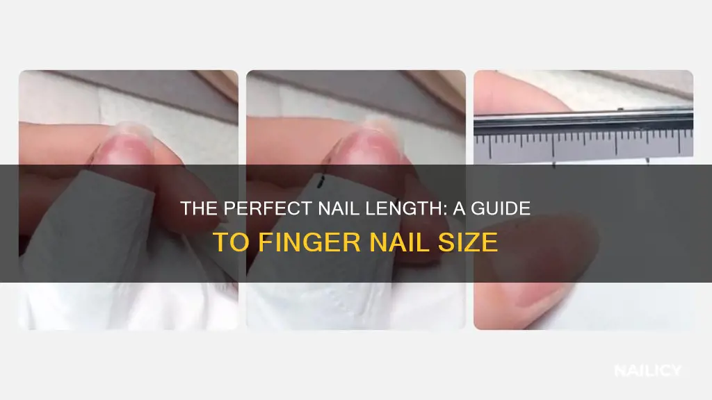 how many cm finger nail