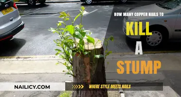 Effective Stump Removal: Copper Nails Method Explained in Detail